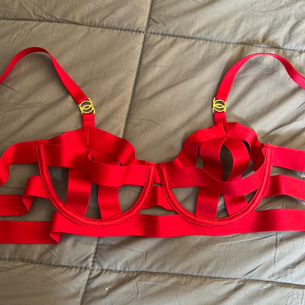 Red Victoria Secrets Bra